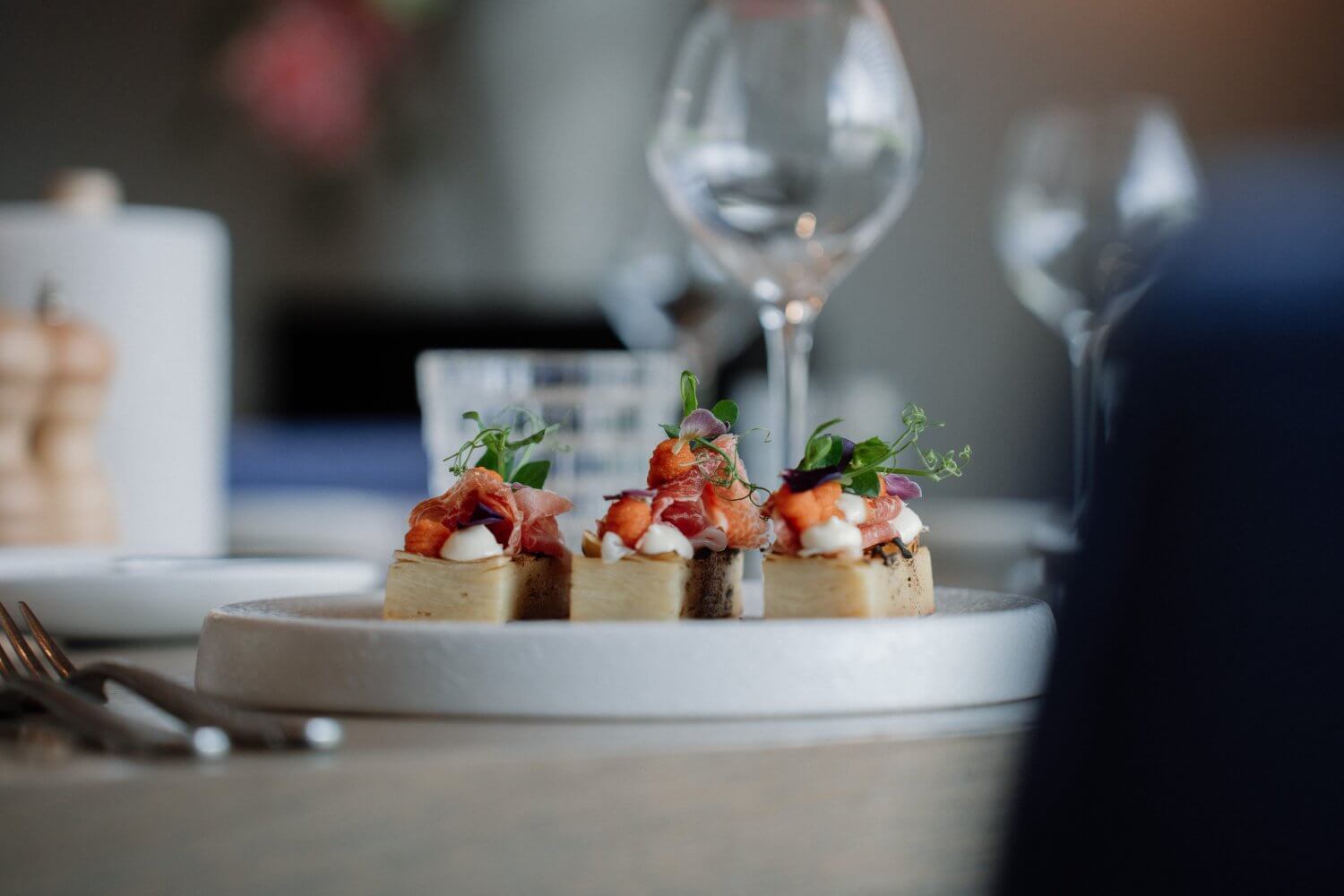 Elegant opgemaakte hapjes met zalm en kruiden op een wit bord, wijnglazen op de achtergrond — eventfotografie door Nanou Verhoeven